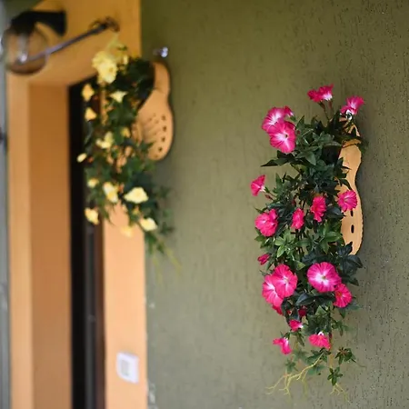 בית נופש Fonteetrusca סוראנו